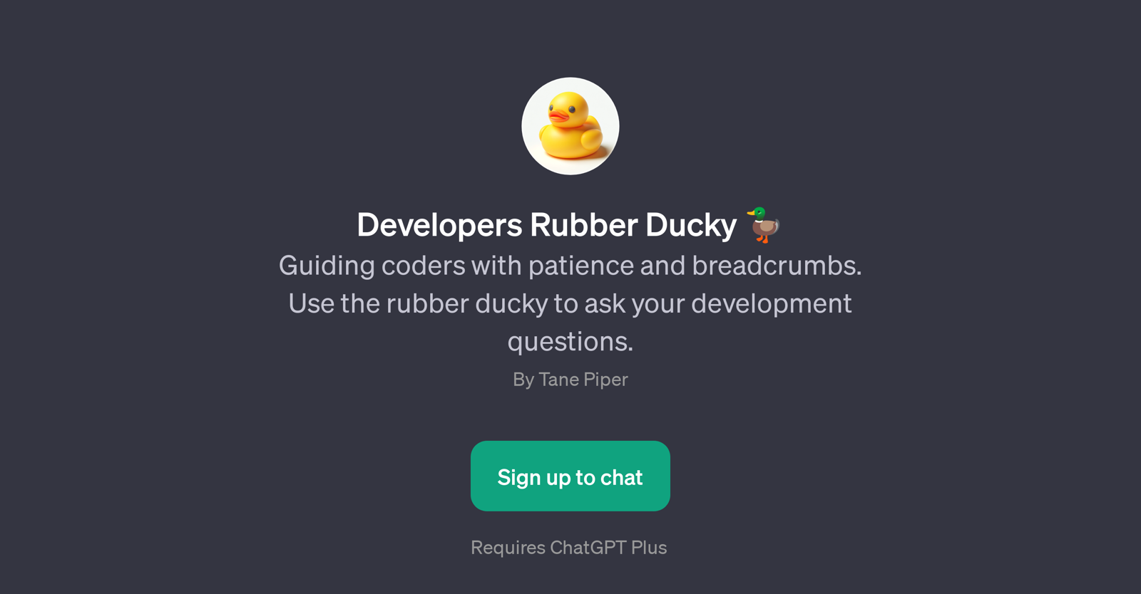 Developers Rubber Ducky